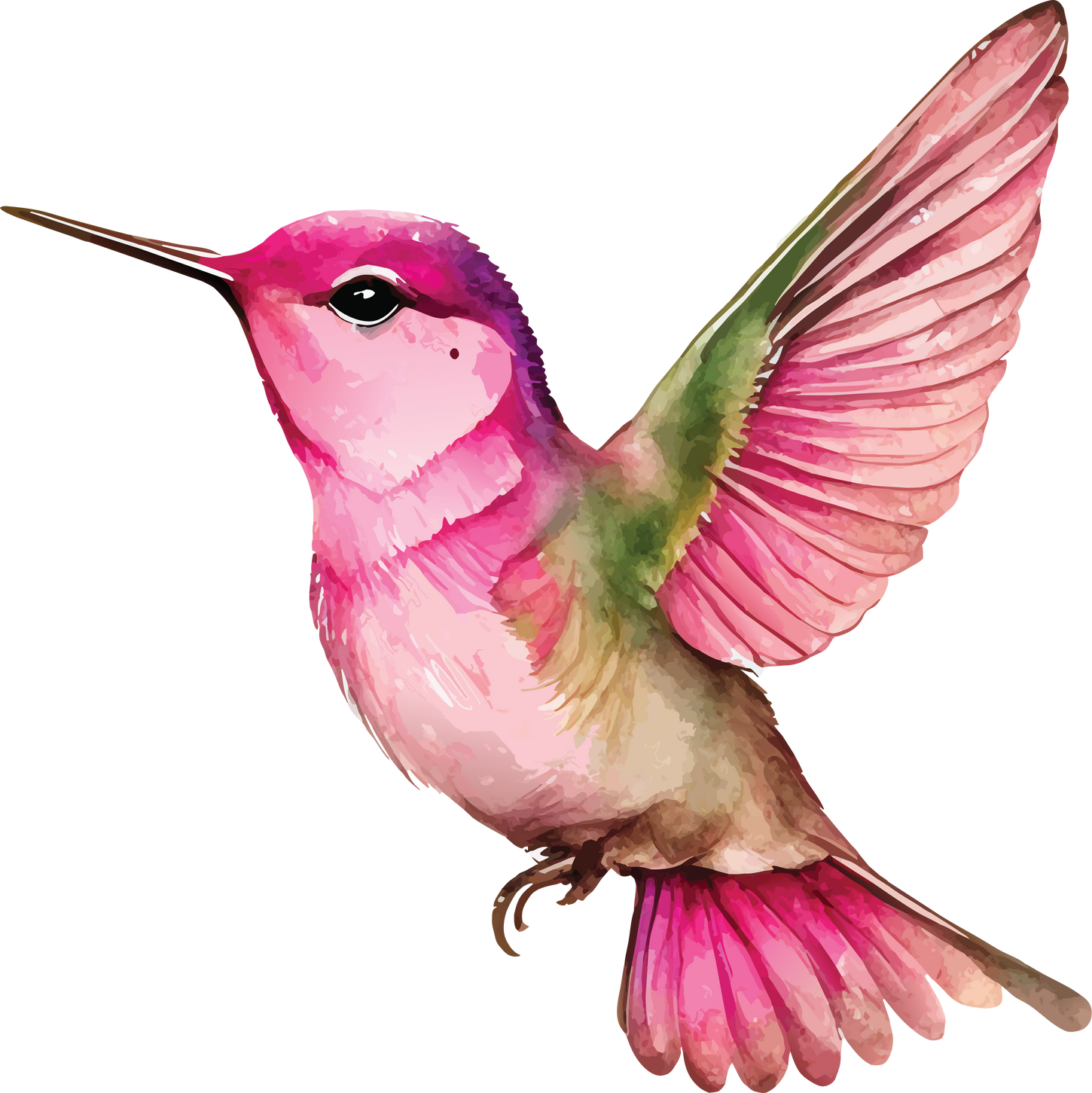 Watercolor Ruby-throated hummingbird