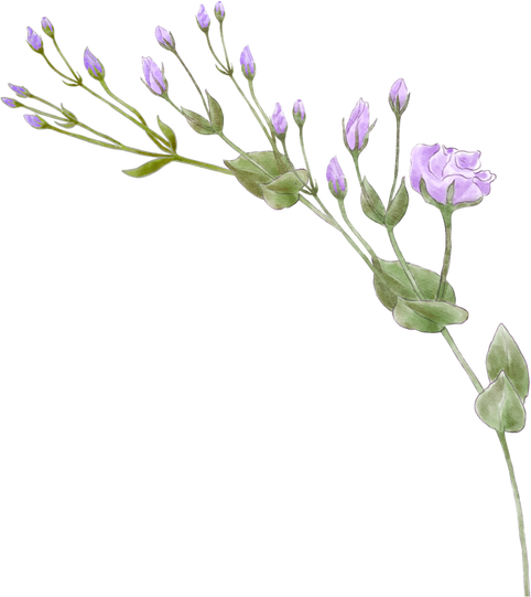 Watercolor flowers purple Lisianthus